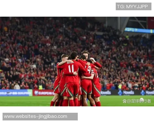 中国与威尔士足球赛精彩录像回放全程分析与精彩瞬间集锦