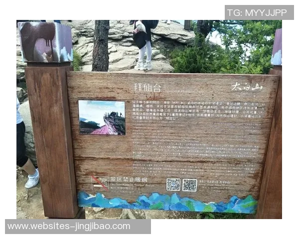 朱俊龙的奋斗历程与成就探索：从青年才俊到行业领军人物的成长之路